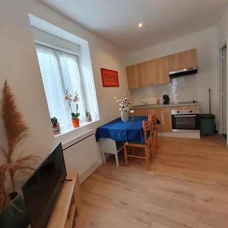 Vigne Apartment Nancy