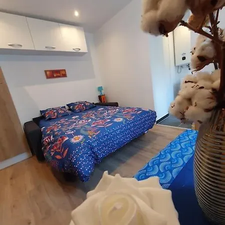 Apartment Vigne *